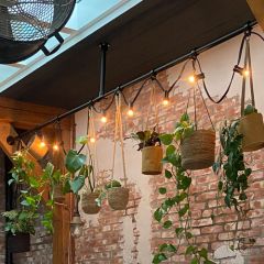 Plantenrek Jellina | Zwart 33.7 mm | Wand/Plafond | DIY