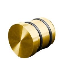 Inslagdop - GOLD / RVS (30.0) - rvs buiskoppeling