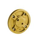Basisplaat - GOLD / RVS (30.0)